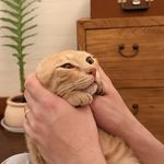 春天在哪里_3Mz8
