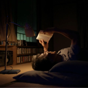 《完美的日子》我们太久没见过体面人了