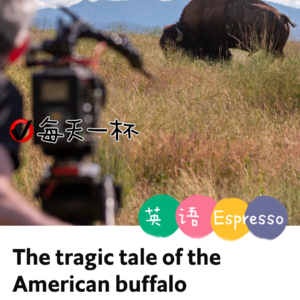 【171】美洲水牛之殇