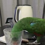 jdidb