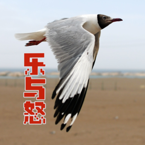 003-乐与怒（上）