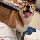唐鉴衍