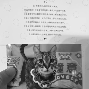 EP.05 | 清明特辑-宠物殡葬:死亡不是终点,遗忘才是。