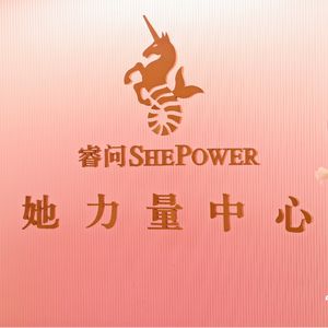 睿问ShePower
