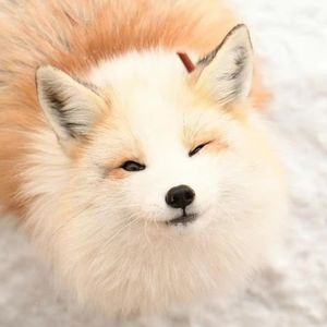 podcaster-avatar