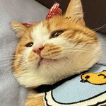 小剪abby
