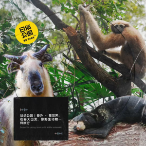 番外 · 看世界：在春天出发，像野生动物一样旅行