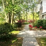 三千世界一霎烟花响