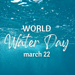 世界水日：水资源如何管，水该如何喝？