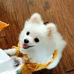 小美是个小美人