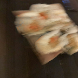 006.吹过祛魅的风,走上实习的路