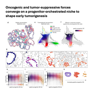 090-A progenitor-orchestrated niche to early tumorigenesis