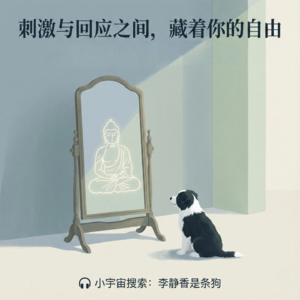 刺激与回应之间：我在小狗身上悟到了“观自在”的奥秘