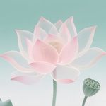 李小甜_