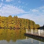 海是倒过来的天