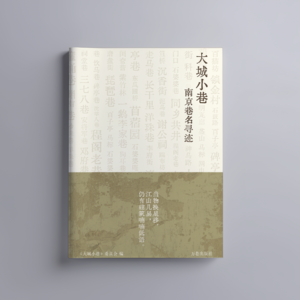 一本书读南京巷子的奇妙旅程:《大街小巷》中古城的生命脉搏