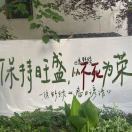 缝衣服的老奶奶