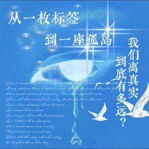 从一枚标签到一座孤岛，我们离真实到底有多远？