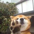 Ethan_lin
