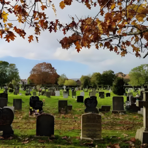 丧葬文化大揭秘:你见过五彩斑斓的墓地吗?一块墓碑·两种命运:是禁区还是客厅?