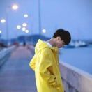___Angelina琛