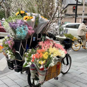 6.春日电影专题｜跨越山海，与你奔赴电影史中的春天