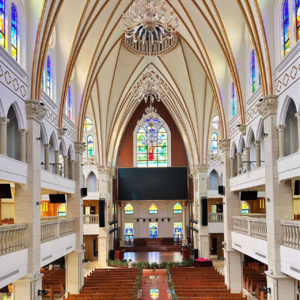 第89期：30+的口口声声想死但其实很惜命，40+的认认真真保健但其实不保健