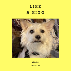 vol.261：吃国王早餐，听国王歌单～