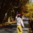耀YAO-
