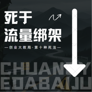 vol.10【创业大败局第十种死法】死于流量绑架
