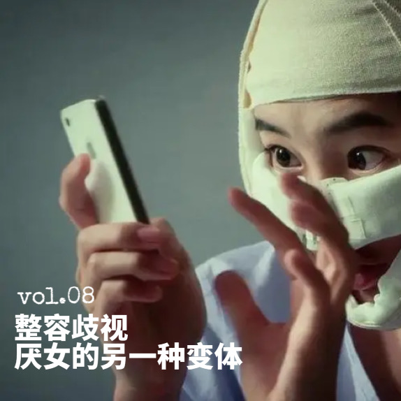 08.从刘梓晨到叶珂，整容歧视是厌女的另一种变体吗？ episode artwork