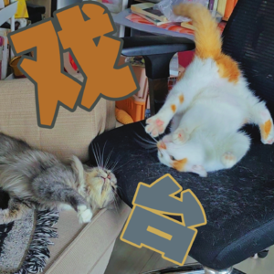 好戏从来细思量