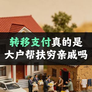 转移支付真的是大户帮扶穷亲戚吗