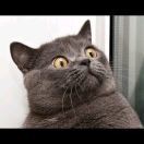 112_dm7X