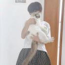 Neko_gajq