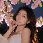阿鲤是雪松味儿的