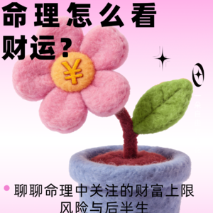 Vol.18 命理怎么看一个人的财运？聊聊命理中关注的财富上限、风险与后半生。