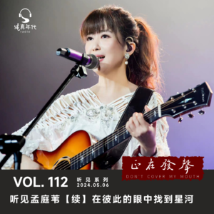 040 听见孟庭苇(续)在彼此的眼中找到星河