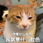 红油猪耳LI