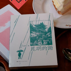 No.29《昆明的雨》|下了三天的雨停了，我读完了一本汪曾祺