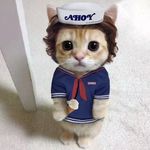 猫猫汉堡