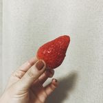 兮尔呀