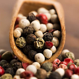 Vol.75 中国胡椒看海南｜与农业专家对话海岛辛香