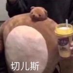 日出并做