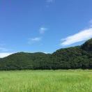 czr_K79A