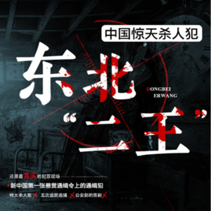 东北二王惊天大案（三）