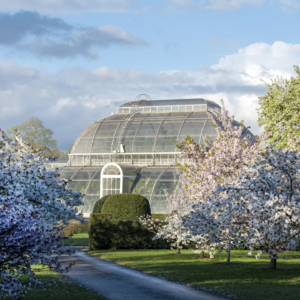 173 植物园景观 伦敦邱园