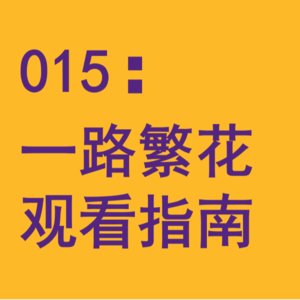 015：综艺《一路繁花》观看指南