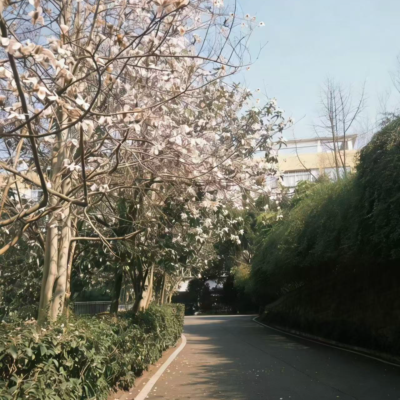 我的2026县城春节假期存档 episode artwork
