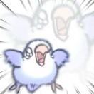 就系棒啊